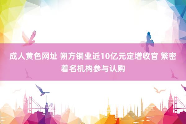 成人黄色网址 朔方铜业近10亿元定增收官 繁密着名机构参与认购