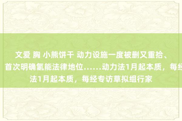 文爱 胸 小熊饼干 动力设施一度被删又重拾、严控开采小水电、首次明确氢能法律地位……动力法1月起本质，每经专访草拟组行家