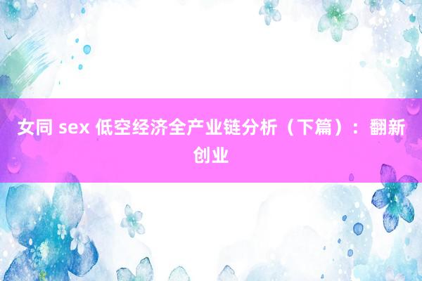 女同 sex 低空经济全产业链分析（下篇）：翻新创业