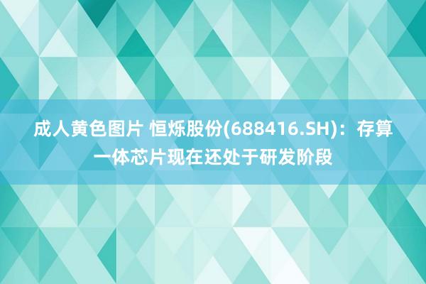 成人黄色图片 恒烁股份(688416.SH)：存算一体芯片现在还处于研发阶段