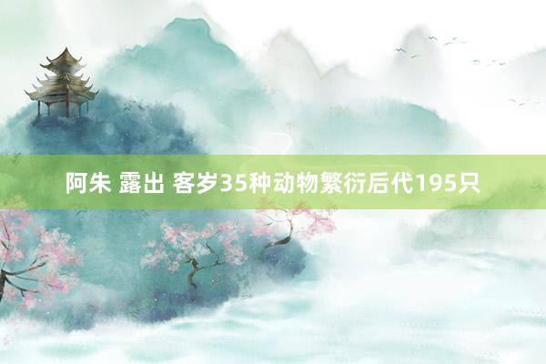 阿朱 露出 客岁35种动物繁衍后代195只