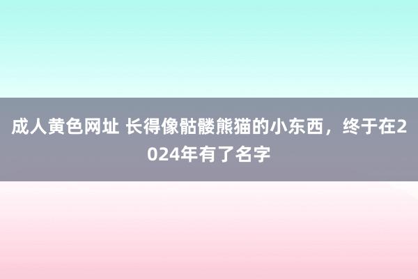 成人黄色网址 长得像骷髅熊猫的小东西，终于在2024年有了名字