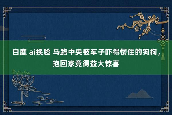 白鹿 ai换脸 马路中央被车子吓得愣住的狗狗，抱回家竟得益大惊喜