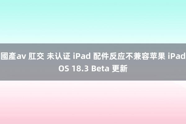 國產av 肛交 未认证 iPad 配件反应不兼容苹果 iPadOS 18.3 Beta 更新