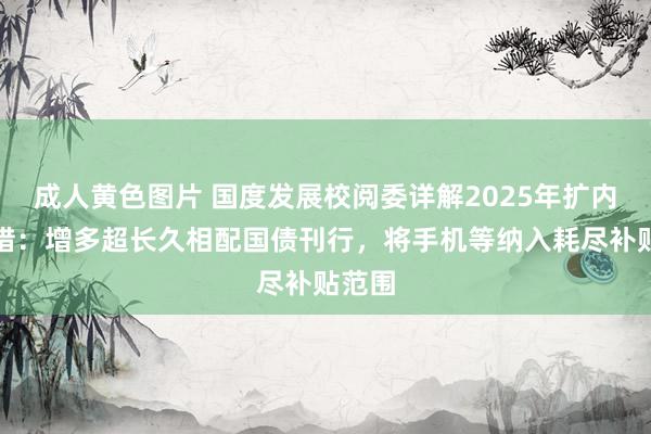 成人黄色图片 国度发展校阅委详解2025年扩内需举措：增多超长久相配国债刊行，将手机等纳入耗尽补贴范围