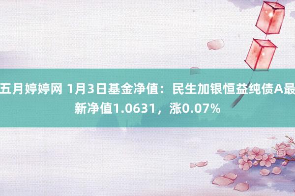 五月婷婷网 1月3日基金净值：民生加银恒益纯债A最新净值1.0631，涨0.07%