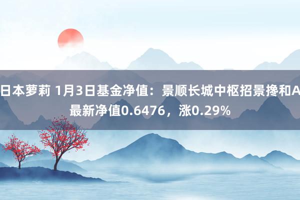 日本萝莉 1月3日基金净值：景顺长城中枢招景搀和A最新净值0.6476，涨0.29%