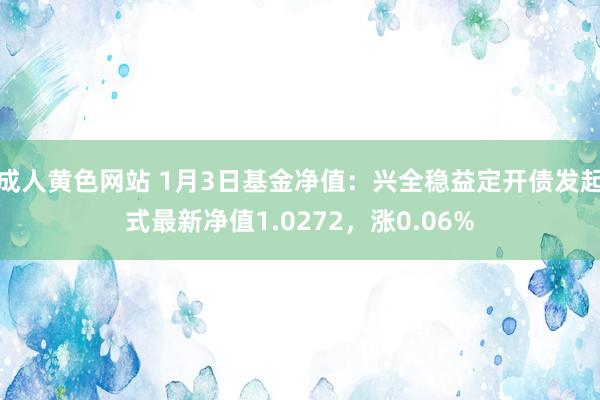 成人黄色网站 1月3日基金净值：兴全稳益定开债发起式最新净值1.0272，涨0.06%