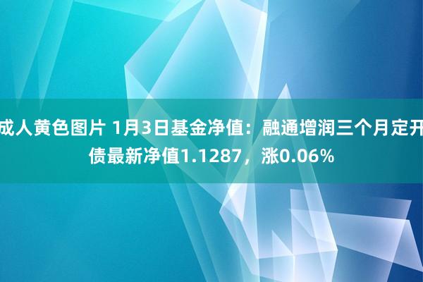 成人黄色图片 1月3日基金净值：融通增润三个月定开债最新净值1.1287，涨0.06%