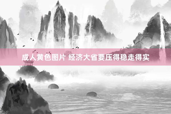 成人黄色图片 经济大省要压得稳走得实