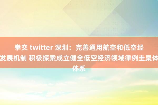 拳交 twitter 深圳：完善通用航空和低空经济发展机制 积极探索成立健全低空经济领域律例圭臬体系