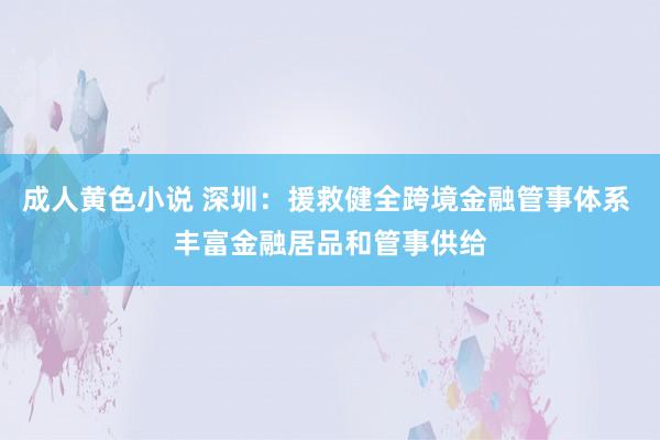 成人黄色小说 深圳：援救健全跨境金融管事体系 丰富金融居品和管事供给