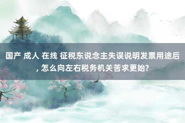 国产 成人 在线 征税东说念主失误说明发票用途后， 怎么向左右税务机关苦求更始?