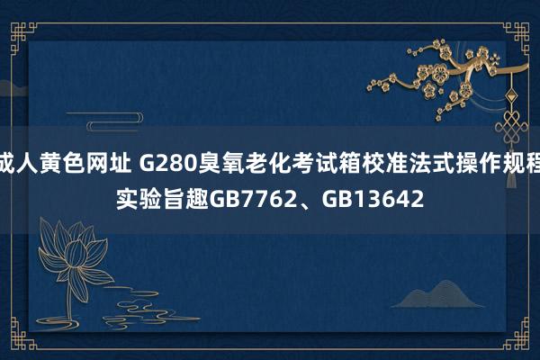 成人黄色网址 G280臭氧老化考试箱校准法式操作规程实验旨趣GB7762、GB13642