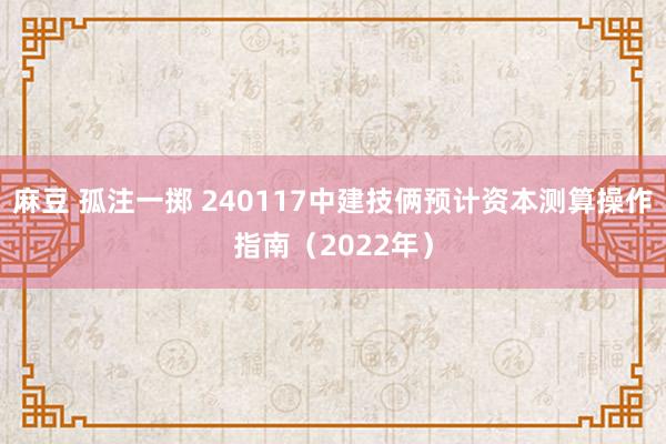 麻豆 孤注一掷 240117中建技俩预计资本测算操作指南（2022年）