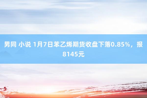 男同 小说 1月7日苯乙烯期货收盘下落0.85%，报8145元