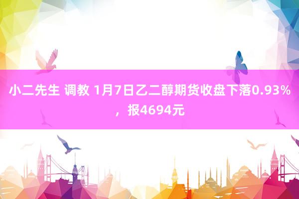 小二先生 调教 1月7日乙二醇期货收盘下落0.93%，报4694元