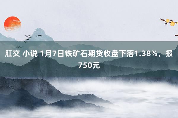 肛交 小说 1月7日铁矿石期货收盘下落1.38%，报750元