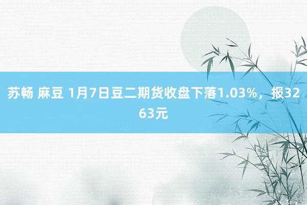 苏畅 麻豆 1月7日豆二期货收盘下落1.03%，报3263元