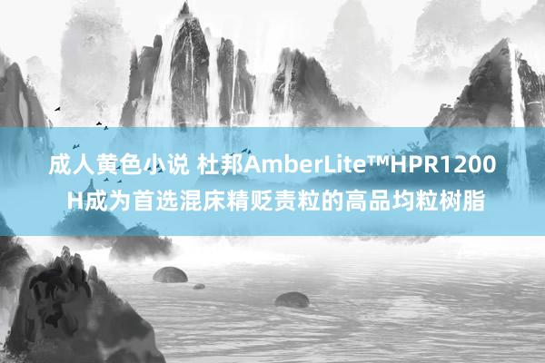 成人黄色小说 杜邦AmberLite™HPR1200 H成为首选混床精贬责粒的高品均粒树脂