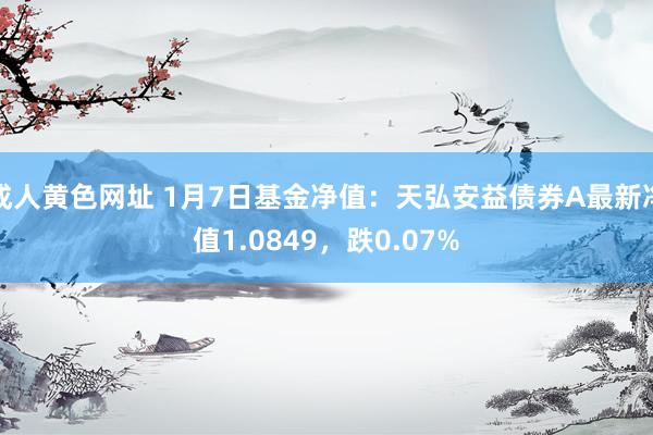 成人黄色网址 1月7日基金净值：天弘安益债券A最新净值1.0849，跌0.07%