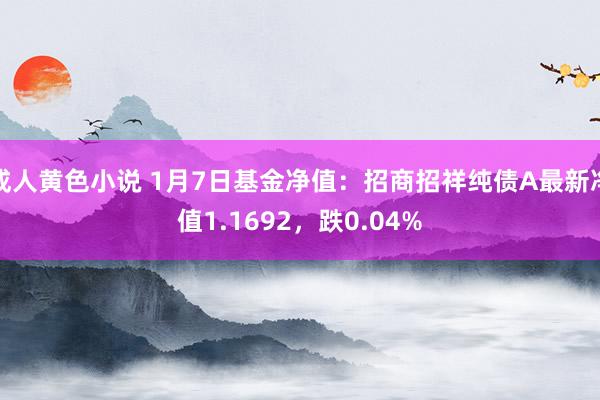 成人黄色小说 1月7日基金净值：招商招祥纯债A最新净值1.1692，跌0.04%