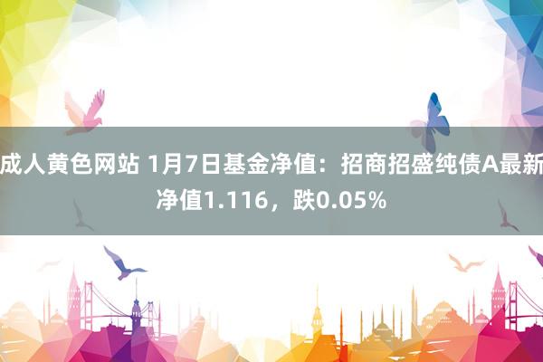 成人黄色网站 1月7日基金净值：招商招盛纯债A最新净值1.116，跌0.05%