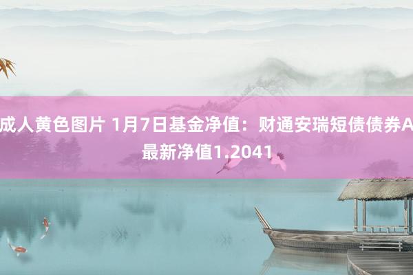 成人黄色图片 1月7日基金净值：财通安瑞短债债券A最新净值1.2041