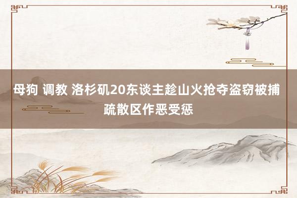 母狗 调教 洛杉矶20东谈主趁山火抢夺盗窃被捕 疏散区作恶受惩