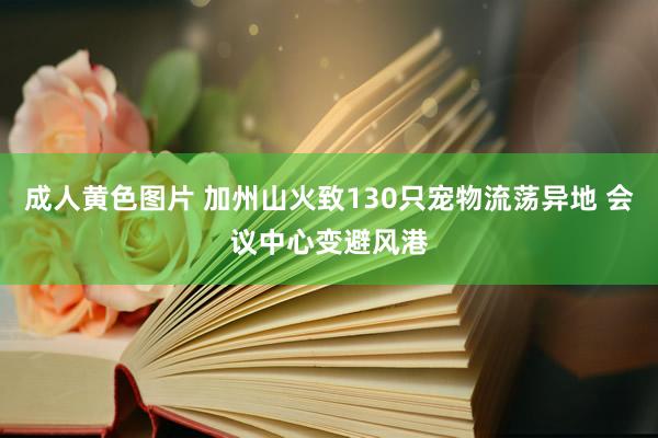 成人黄色图片 加州山火致130只宠物流荡异地 会议中心变避风港