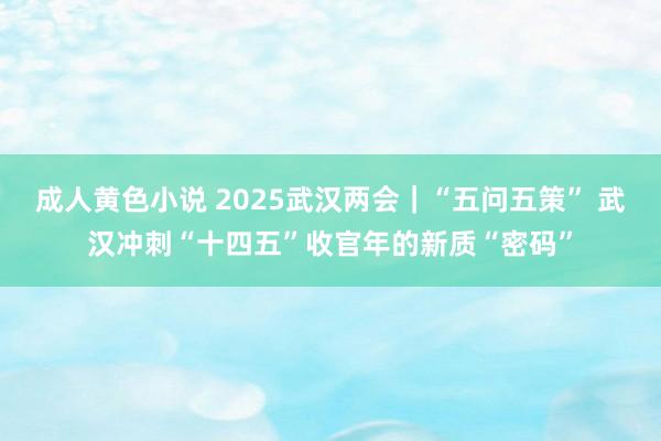 成人黄色小说 2025武汉两会｜“五问五策” 武汉冲刺“十四五”收官年的新质“密码”