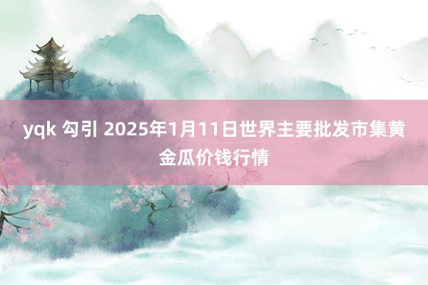 yqk 勾引 2025年1月11日世界主要批发市集黄金瓜价钱行情