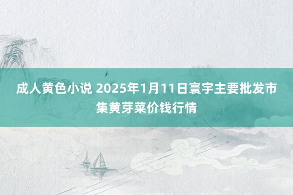 成人黄色小说 2025年1月11日寰宇主要批发市集黄芽菜价钱行情