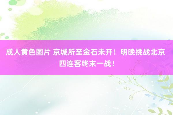 成人黄色图片 京城所至金石未开！明晚挑战北京 四连客终末一战！