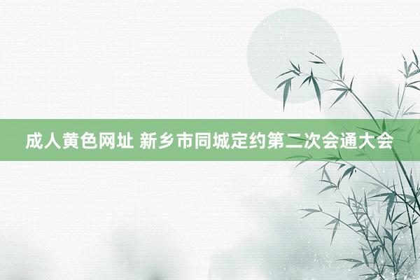 成人黄色网址 新乡市同城定约第二次会通大会