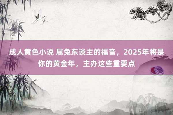 成人黄色小说 属兔东谈主的福音，2025年将是你的黄金年，主办这些重要点