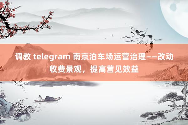 调教 telegram 南京泊车场运营治理——改动收费景观，提高营见效益