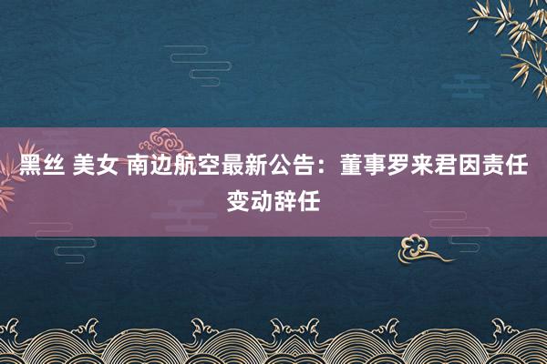 黑丝 美女 南边航空最新公告：董事罗来君因责任变动辞任