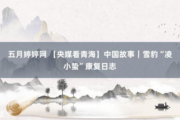五月婷婷网 【央媒看青海】中国故事｜雪豹“凌小蛰”康复日志