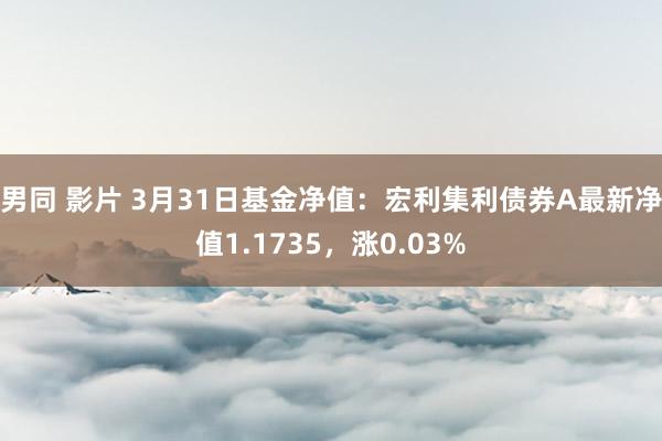 男同 影片 3月31日基金净值：宏利集利债券A最新净值1.1735，涨0.03%