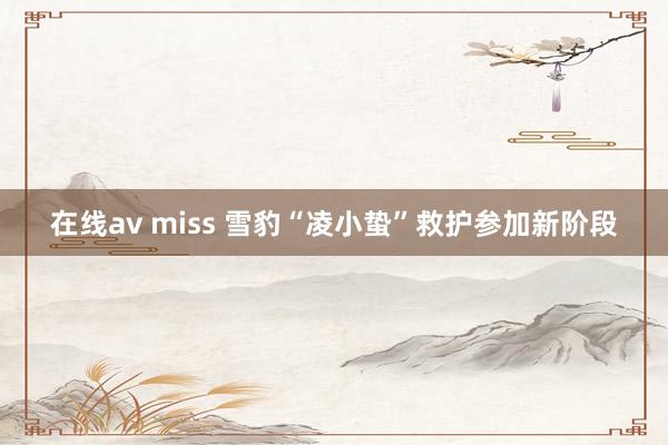 在线av miss 雪豹“凌小蛰”救护参加新阶段